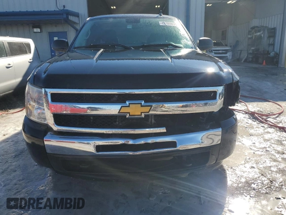 2010 Chevrolet Silverado 1500 LS with VIN 1GCSKREA0AZ215576, listed as a Copart auction lot 43998635 with 161,094 mi miles and Clean Title. Bid and sale history available at DreamBid. Image 5.