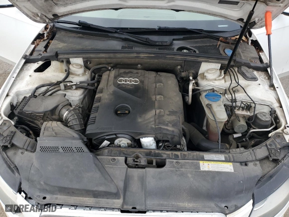 2010 Audi A4 2.0T Premium with VIN WAUAFAFL7AN059347, listed as a Copart auction lot 86646824 with 142,951 mi miles and Salvage Title. Bid and sale history available at carsss.com. Image 13.