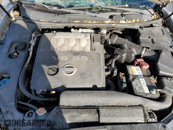 2006 Nissan Maxima 3.5 SE with VIN 1N4BA41E16C853883, listed as a Copart auction lot 77401494 with 136,687 mi miles and Salvage Title. Bid and sale history available at carsss.com. Image 11.