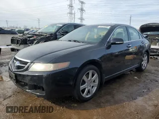 2005 Acura TSX with VIN JH4CL96875C023107, listed as a Copart auction lot 45725565 with 313,016 mi miles and Salvage Title. Bid and sale history available at carsss.com. Image 1.