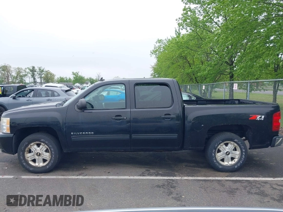 2010 Chevrolet Silverado 1500 LT with VIN 3GCRKSE33AG290425, listed as a IAAI auction lot 42193206 with 243,880 mi miles and . Bid and sale history available at DreamBid. Image 14.