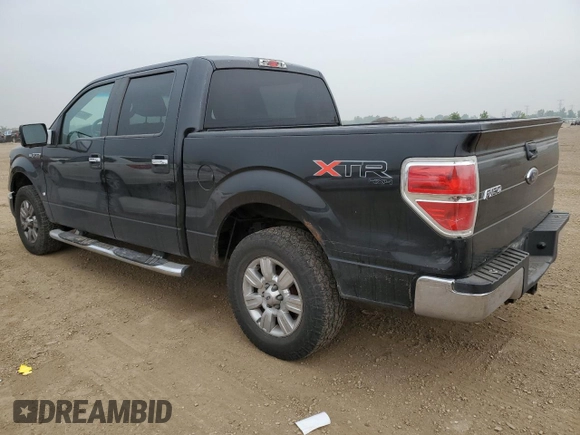 2010 Ford F-150 XL with VIN 1FTEW1E84AFD14774, listed as a Copart auction lot 60530435 with 150,299 mi miles and Salvage title. Bid and sale history available at DreamBid. Image 2.