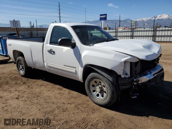 2012 Chevrolet Silverado 1500 with VIN 1GCNKSEA4CZ110756, listed as a Copart auction lot 47987725 with Not Provided miles and Clean Title. Bid and sale history available at DreamBid. Image 4.