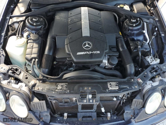 2002 Mercedes-Benz CL-Class AMG with VIN WDBPJ73J02A021435, listed as a Copart auction lot 77801194 with NaN miles and Salvage Title. Bid and sale history available at carsss.com. Image 11.