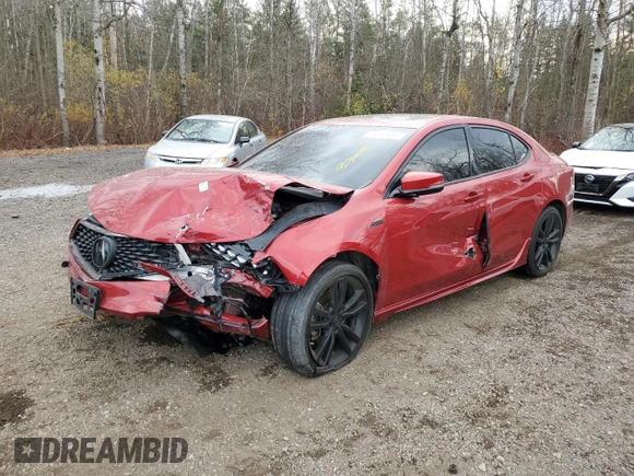 2020 Acura TLX w/A-Spec Pkg with VIN 19UUB3F62LA801635, listed as a Copart auction lot 79255494 with 64,464 mi miles and Salvage Title. Bid and sale history available at carsss.com. Image 1.