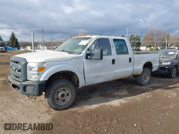 2012 Ford F-250 XL with VIN 1FT7W2B69CED23299, listed as a IAAI auction lot 41313481 with 160,251 mi miles and . Bid and sale history available at DreamBid. Image 19.