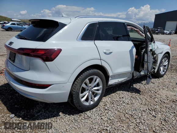 2019 Audi e-tron Prestige with VIN WA1VABGE8KB022801, listed as a Copart auction lot 52213123 with 28,988 mi miles. Bid and sale history available at carsss.com. Image 3.