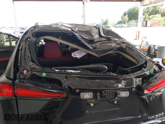 2021 Lexus NX 300 with VIN JTJDARBZ7M2194287, listed as a IAAI auction lot 42364179 with 20,072 mi miles and . Bid and sale history available at DreamBid. Image 6.