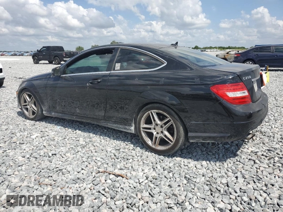 2013 Mercedes-Benz C 250 with VIN WDDGJ4HB7DG039616, listed as a Copart auction lot 55070365 with Not Provided miles and Salvage Title. Bid and sale history available at DreamBid. Image 2.