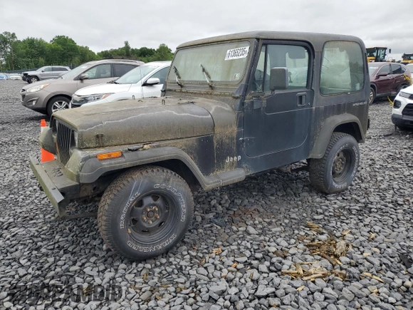 1994 Jeep Wrangler with VIN 1J4FY29S9RP422835, listed as a Copart auction lot 61365235 with 183,566 mi miles and Clean title. Bid and sale history available at DreamBid. Image 1.