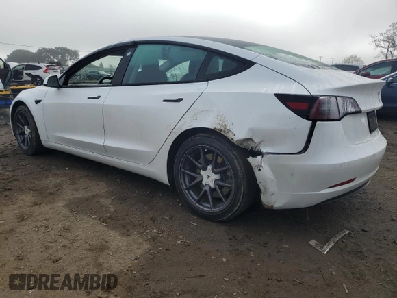 2021 Tesla Model 3 Standard Range Plus with VIN 5YJ3E1EA1MF066389, listed as a Copart auction lot 48053925 with 119,105 mi miles and Salvage Title. Bid and sale history available at carsss.com. Image 2.