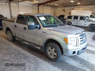 2010 Ford F-150 XL с VIN 1FTEW1E82AFA31046, выставлен на аукционе IAAI как лот 42158777 с пробегом 204 171 миль миль и . История ставок и продаж доступна на DreamBid. Изображение 1.