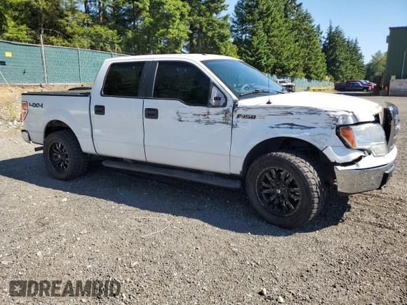 2010 Ford F-150 XL with VIN 1FTEW1E8XAFB89795, listed as a Copart auction lot 62423115 with 402,162 mi miles and Salvage title. Bid and sale history available at DreamBid. Image 4.