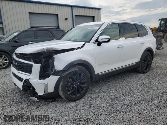 2022 Kia Telluride SX with VIN 5XYP5DHC6NG222534, listed as a Copart auction lot 58656315 with 76,952 mi miles and Salvage title. Bid and sale history available at DreamBid. Image 1.