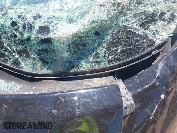 2023 Jeep Renegade Latitude с VIN ZACNJDB13PPP69738, выставлен на аукционе IAAI как лот 42293470 с пробегом Не указан миль и . История ставок и продаж доступна на DreamBid. Изображение 9.