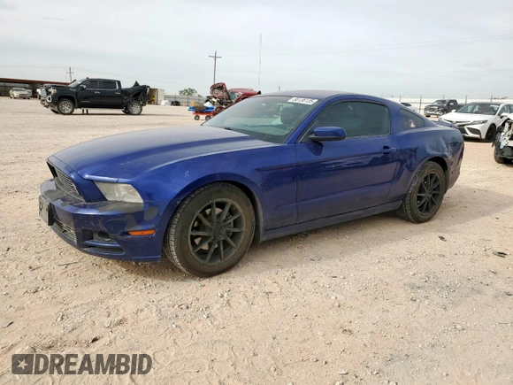 2014 Ford Mustang V6 with VIN 1ZVBP8AM2E5215150, listed as a Copart auction lot 56136135 with 189,225 mi miles and Salvage title. Bid and sale history available at DreamBid. Image 1.