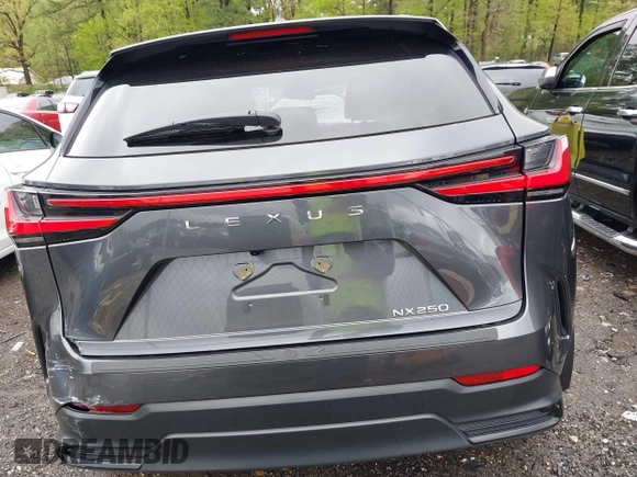 2024 Lexus NX 250 с VIN 2T2ADCAZ5RC006589, выставлен на аукционе IAAI как лот 41975513 с пробегом Не указан миль и . История ставок и продаж доступна на DreamBid. Изображение 16.