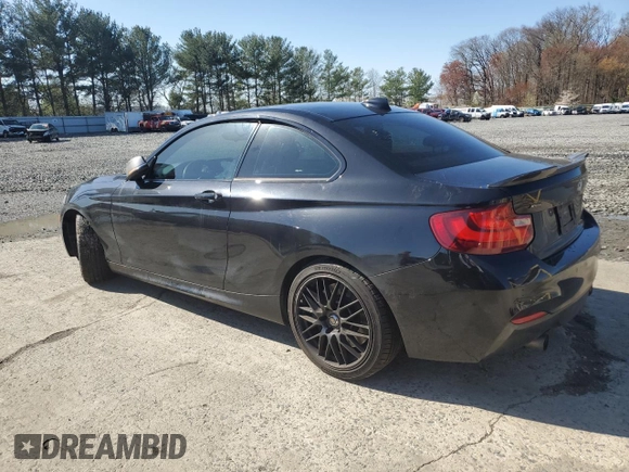 2016 BMW 2 Series M235i xDrive with VIN WBA1J9C54GV696160, listed as a Copart auction lot 52317365 with 0 mi miles and Salvage Title. Bid and sale history available at carsss.com. Image 2.