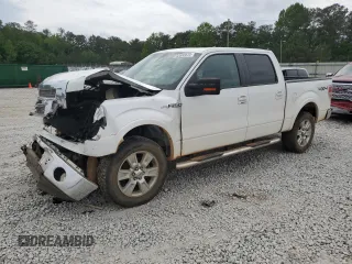2009 Ford F-150 XL with VIN 1FTPW14VX9KC62991, listed as a Copart auction lot 53852875 with Not Provided miles and Salvage Title. Bid and sale history available at DreamBid. Image 1.