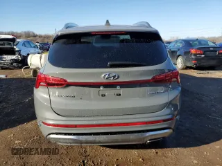 2021 Hyundai Santa Fe Calligraphy with VIN 5NMS5DAL2MH356272, listed as a Copart auction lot 49246385 with 33,528 mi miles and Salvage Title. Bid and sale history available at carsss.com. Image 6.