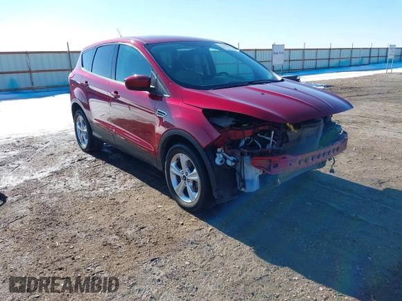 2014 Ford Escape SE z VIN 1FMCU0GX0EUA62000, wystawiony jako IAAI lot #41302259 z przebiegiem 87 659 mil mil oraz . Historia ofert i sprzedaży dostępna na DreamBid. Obrazek 1.