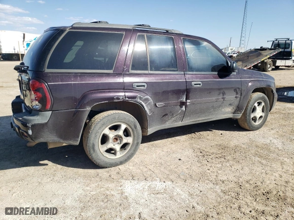 2008 Chevrolet TrailBlazer Fleet w/2FL with VIN 1GNDT13S982106806, listed as a Copart auction lot 48045255 with 132,747 mi miles and Salvage Title. Bid and sale history available at carsss.com. Image 3.