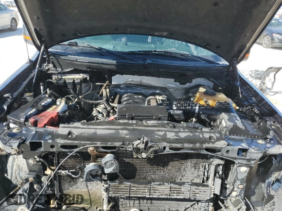 2013 Ford F-150 XL with VIN 1FTFW1CF9DFD82191, listed as a Copart auction lot 49337715 with 222,339 mi miles and Salvage title. Bid and sale history available at DreamBid. Image 11.