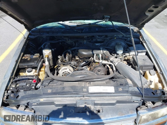 1999 Chevrolet Blazer Trailblazer z VIN 1GNDT13W4X2162282, wystawiony jako IAAI lot #41863705 z przebiegiem 220 358 mil mil oraz . Historia ofert i sprzedaży dostępna na DreamBid. Obrazek 10.