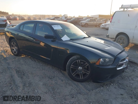 2013 Dodge Charger RT with VIN 2C3CDXCT4DH696609, listed as a IAAI auction lot 40979934 with 118,148 mi miles. Bid and sale history available at carsss.com. Image 1.