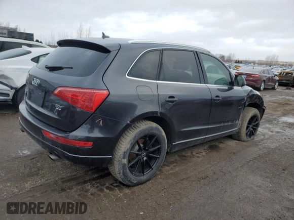 2011 Audi Q5 Premium Plus с VIN WA1VFCFP9BA109459, выставлен на аукционе Copart как лот 44551005 с пробегом 226 226 миль миль и Чистый • Clean title. История ставок и продаж доступна на DreamBid. Изображение 3.