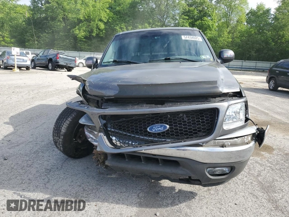 2003 Ford F-150 XL with VIN 2FTRX18L73CA49989, listed as a Copart auction lot 57434025 with 141,876 mi miles and Salvage title. Bid and sale history available at DreamBid. Image 5.