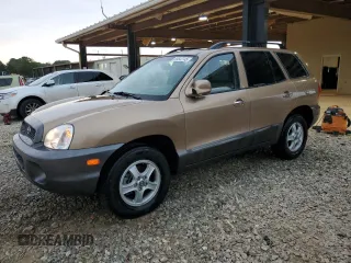 2004 Hyundai Santa Fe GLS z VIN KM8SC13E34U595014, wystawiony jako Copart lot #55642745 z przebiegiem 69 303 mil mil oraz Szkoda całkowita • Salvage title. Historia ofert i sprzedaży dostępna na DreamBid. Obrazek 1.