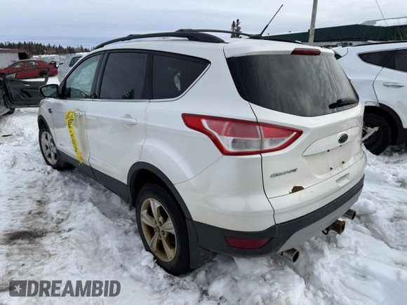 2013 Ford Escape SE with VIN 1FMCU9G97DUB99908, listed as a Copart auction lot 48123295 with Not Provided miles and Non Repairable. Bid and sale history available at DreamBid. Image 2.