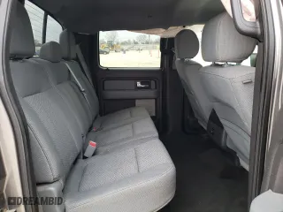 2013 Ford F-150 XL with VIN 1FTEW1CM5DFC29074, listed as a Copart auction lot 48265805 with 171,912 mi miles and Salvage Title. Bid and sale history available at carsss.com. Image 10.