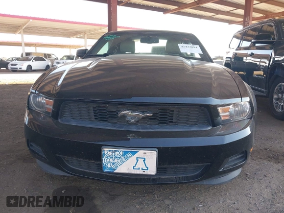 2012 Ford Mustang Premium with VIN 1ZVBP8AM3C5287407, listed as a IAAI auction lot 42433094 with 132,341 mi miles and . Bid and sale history available at DreamBid. Image 13.