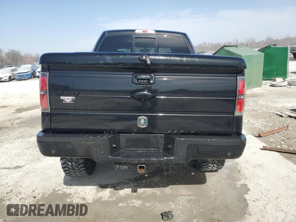 2013 Ford F-150 XL with VIN 1FTFW1EF8DFA69131, listed as a Copart auction lot 48292535 with 194,204 mi miles and Salvage Title. Bid and sale history available at carsss.com. Image 6.