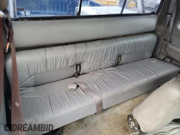 1995 Ford F-150 with VIN 1FTEX15N2SKA99097, listed as a Copart auction lot 59093615 with 263,160 mi miles and Salvage title. Bid and sale history available at DreamBid. Image 10.