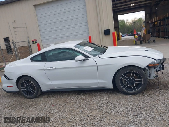2023 Ford Mustang EcoBoost с VIN 1FA6P8TH2P5110069, выставлен на аукционе IAAI как лот 41941535 с пробегом Не указан миль и . История ставок и продаж доступна на DreamBid. Изображение 14.