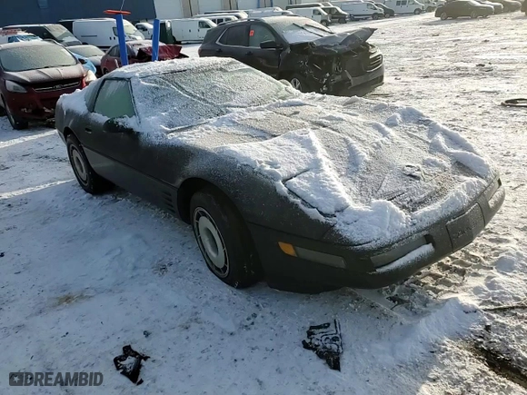 1994 Chevrolet Corvette with VIN 1G1YY22P1R5117578, listed as a Copart auction lot 88750435 with 0 mi miles and Clean Title. Bid and sale history available at carsss.com. Image 11.