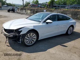 2019 Audi A7 Premium Plus with VIN WAUR2AF25KN114000, listed as a Copart auction lot 60274285 with 47,005 mi miles and Salvage title. Bid and sale history available at DreamBid. Image 1.