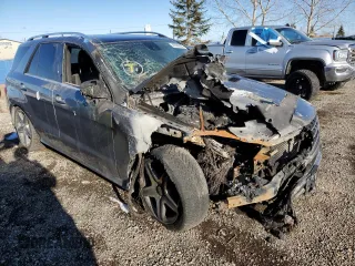 2014 Mercedes-Benz M 350 with VIN 4JGDA2EB9EA316756, listed as a Copart auction lot 46580665 with Not Provided miles and Non Repairable. Bid and sale history available at DreamBid. Image 4.