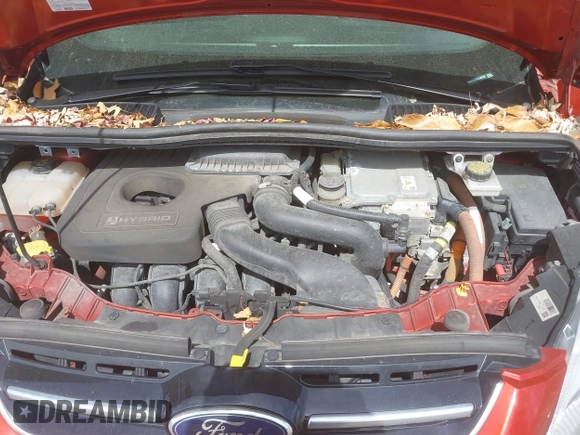 2018 Ford C-Max SE with VIN 1FADP5AU7JL102560, listed as a IAAI auction lot 42079980 with 132,719 mi miles and . Bid and sale history available at DreamBid. Image 10.