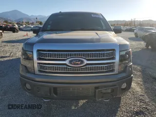 2009 Ford F-150 XL with VIN 1FTPW14V39FB05831, listed as a Copart auction lot 85943924 with 133,893 mi miles and Salvage title. Bid and sale history available at DreamBid. Image 5.
