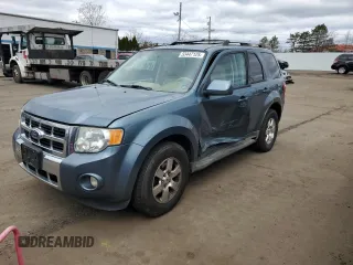2011 Ford Escape Limited with VIN 1FMCU9EGXBKB51054, listed as a Copart auction lot 53447125 with 133,342 mi miles and Salvage Title. Bid and sale history available at DreamBid. Image 1.