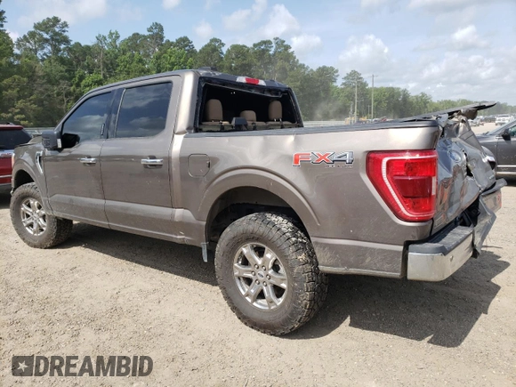2021 Ford F-150 XL with VIN 1FTFW1E81MFC40903, listed as a Copart auction lot 59618935 with 97,419 mi miles and Salvage title. Bid and sale history available at DreamBid. Image 2.