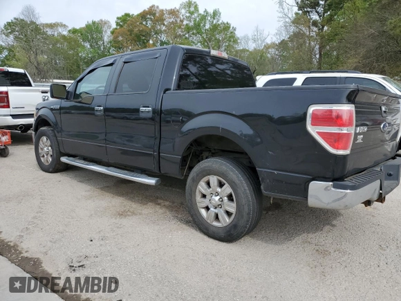 2010 Ford F-150 XL with VIN 1FTEW1C88AFC56624, listed as a Copart auction lot 50648135 with 228,961 mi miles and Salvage Title. Bid and sale history available at carsss.com. Image 2.