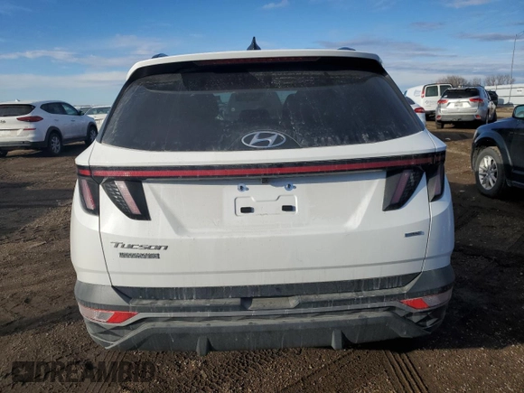 2023 Hyundai Tucson SEL with VIN 5NMJBCAE7PH248430, listed as a Copart auction lot 46429705 with 1,212 mi miles and Salvage Title. Bid and sale history available at carsss.com. Image 6.