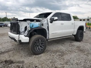 2023 GMC Sierra 1500 Denali with VIN 3GTUUGE80PG302715, listed as a Copart auction lot 55974565 with Not provided miles and Salvage title. Bid and sale history available at DreamBid. Image 1.