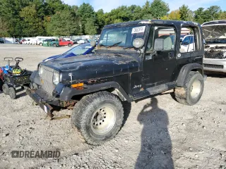 1994 Jeep Wrangler with VIN 1J4FY29S1RP461693, listed as a Copart auction lot 73662974 with 202,452 mi miles and Clean Title. Bid and sale history available at carsss.com. Image 1.