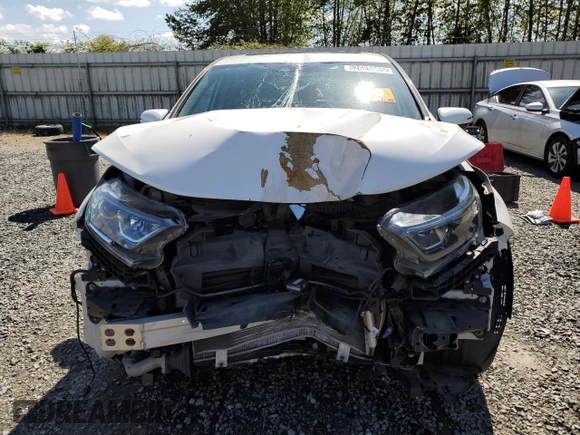 2019 Honda CR-V EX with VIN 2HKRW2H59KH631918, listed as a Copart auction lot 52625905 with 0 mi miles and Clean Title. Bid and sale history available at carsss.com. Image 5.